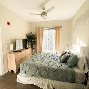 Museum District Apt Retreat W/bbq Patio And Pool Apartment