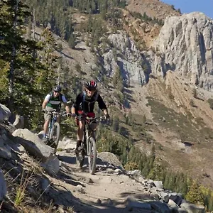 https://chamonix-85.mammothlakeshotels.org